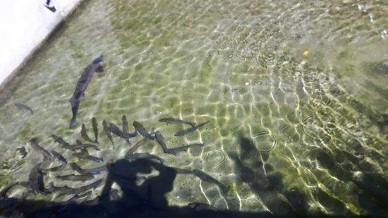 Restauracja Pod Jaskinią